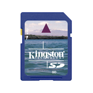 Kingston 2GB SD Card